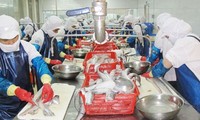 Russland hebt vorläufige Aussetzung gegen den Export von Meeresfrüchten aus Vietnam auf