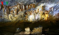 Bewunderung für die prächtige Schönheit der Paradies-Höhle 