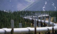 Reaktion des Westens auf die Einstellung des Pipeline-Projekts Russlands