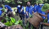 Vietnam gibt 50 Millionen US-Dollar vom Staatshaushalt für Umweltschutz aus