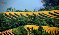 Beginn der Tourismus- und Kulturwoche der Reisterrassen im Kreis Hoang Su Phi