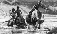 “Fotografenfreunden” stellen “Schönes Vietnam” in Australien vor