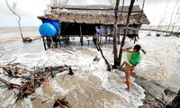 Vietnam engagiert sich mit der internationalen Gemeinschaft für die Anpassung an den Klimawandel