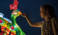 Zahlreiche Veranstaltungen in Sydney zur Begrüßung des Jahrs des Hahnes