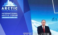 Präsident Wladimir Putin: In Arktis steckt keine Gefahr der Konflikte