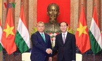 Staatspräsident Tran Dai Quang empfängt den ungarischen Premierminister Orbán Viktor