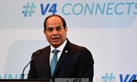  Ägyptischer Präsident unterzeichnet Dekret zur Gründung der nationalen Wahlkommission
