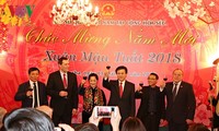 Aktivitäten der Auslandsvietnamesen in der Welt zum Neujahr