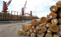 Export von Hölzern und Holzprodukten Vietnams im Jahr 2018