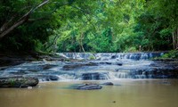 Bewunderung der Wasserfälle in Dak Lak