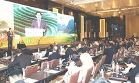 Vizepremierminister Vuong Dinh Hue: Vietnam achtet auf Verbesserung der Qualität und den Wert von Reis