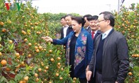 Parlamentspräsidentin Nguyen Thi Kim Ngan besucht Provinz Hung Yen
