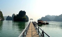 Lan Ha-Bucht will am Verein der schönsten Buchten der Welt teilnehmen