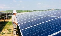 Unterstützung für Vietnam bei Mobilisierung privater Investition in das Pilotprogramm zur Auktion von Solarenergie