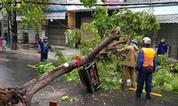 Schnelle Beseitigung der Folgen von Taifun Noul