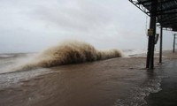 Provinzen wappnen sich gegen starke Regen und Naturkatastrophen aus dem Ostmeer
