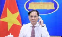 Außenminister Bui Thanh Son führt Telefongespräch mit serbischem Außenminister 