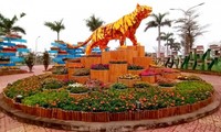 Eröffnung der Blumenstraße des Frühlings des Tigers 2022 in Tuy Hoa