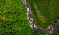 Deutschland unterstützt Vietnam beim Schutz und nachhaltiger Nutzung von Biodiversität und Ökosystemleistung der Wälder