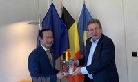 Verstärkung der Zusammenarbeit zwischen vietnamesischen Provinzen und der Brüsseler Region 