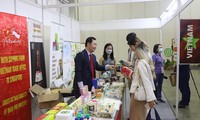 Eindruck der vietnamesischen Produkte und Marken in Singapur