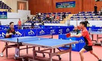 Mehr als 300 Sportler nehmen am Tischtennis-Pokal der Zeitung „Ha Noi Moi” 2023 teil