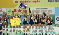 US-Volleyballklub BIP wird sich am Volleyballturnier VTV9-Binh Dien 2024 beteiligen