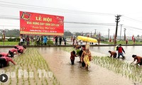 Lebhaftes Fest „Hung-Könige bringen Bürgern den Reisanbau bei“