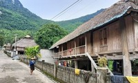 Einzigartige Pfahlhäuser der Volksgruppe Thai in der Provinz Thanh Hoa