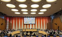 Vietnam zum Mitglied des UN-Exekutivrates von UN Women gewählt