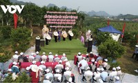 57 alte Shan Tuyet-Teebäume in Moc Chau als Erbe-Bäume anerkannt