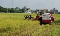Changing Vietnam’s rural appearance