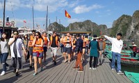 Ha Long Bay welcomes 26,000 visitors on New Year holiday  