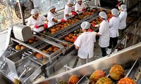 Vietnam seeks way to boost vegetable, fruit export