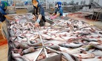 Vietnam eyes 9 billion USD in seafood export in 2018