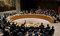Vietnam advances bid for non-permanent Security Council seat