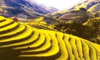 Mu Cang Chai terrace fields among world’s most colorful places
