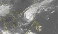 Around 5 storms to hit Vietnam mainland in 2019
