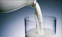 TH Milk becomes first Vietnamese firm to export milk to China
