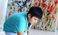 Young Vietnamese painter set sales records in US