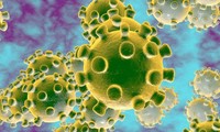 New, more infectious coronavirus strain responsible for Da Nang transmission
