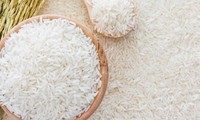 First batch of fragrant rice exported to EU at zero tariff 