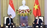 Vietnam, Singapore seek ways to boost ties