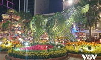 Flower, book streets open in HCM city to cerebrate Year of Tiger