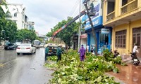 Typhoon Talim weakens to depression 