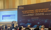 Vietnam forecast to post faster growth over other countries in 2023: CIEM  ​