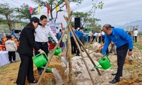 Tree planting festival launched in Hanoi, Da Nang