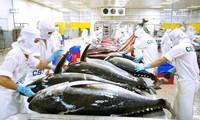 Tuna exports see bright prospects