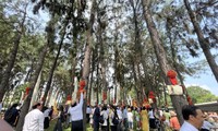 “Friendship Pine Garden” inaugurated in HCM city