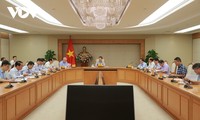 Vietnam gears up to establish carbon market